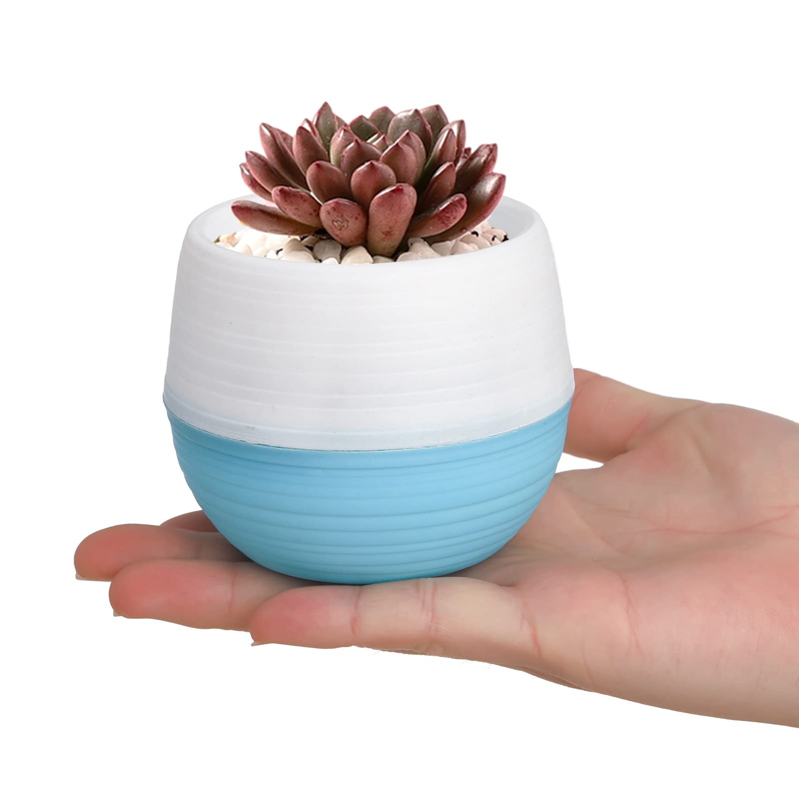 Amazon.com : Elsjoy 30 Pack Mini Succulent Pot, 3 Inch Plastic